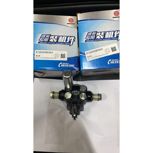 Fuel Pump Weichai 612600080343 Series