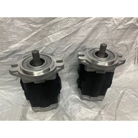 Hydraulic Pump Kubota 3C081 - 82204